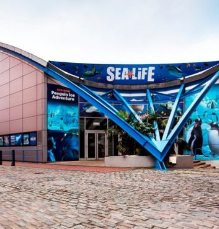 Sea Life Centre Great Yarmouth