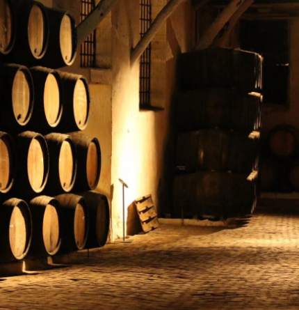 波尔多葡萄酒博物馆