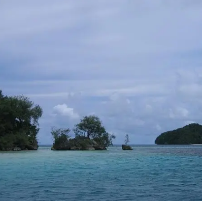 Scuba Point Diving Palau
