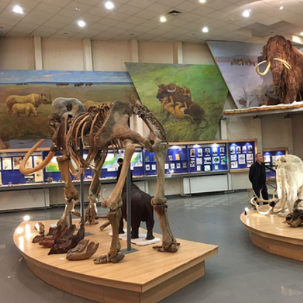 雅库茨克猛犸象博物馆