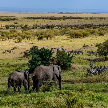 基维拉国家野生动物保护地