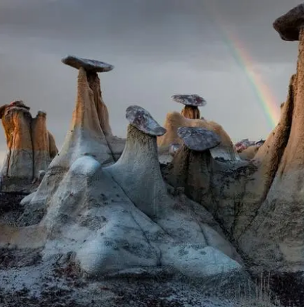 蘑菇岩州立公园
