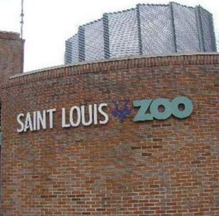 圣路易斯动物园