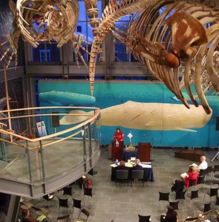 新贝德福德捕鲸博物馆