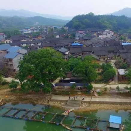 龍妙村龍妙屯