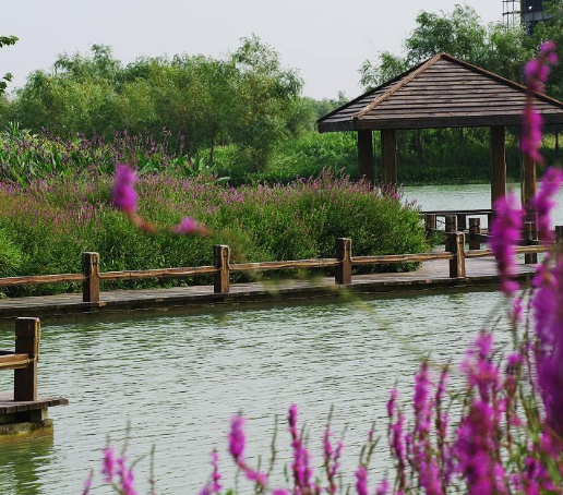 艾溪湖森林濕地公園