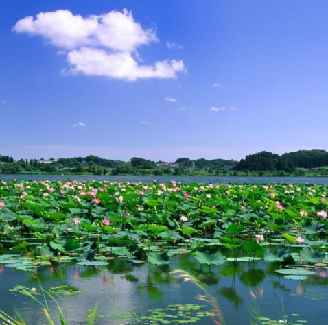 高台县马尾湖