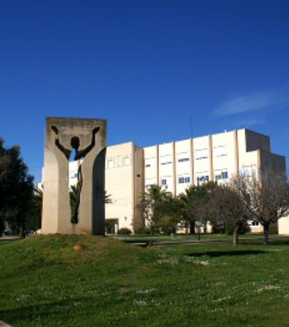 阿里尔大学