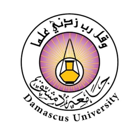 巴格达大学