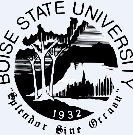 博伊西州立大学