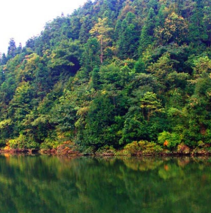 龍南九連山