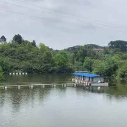 寨下水庫休閑垂釣中心