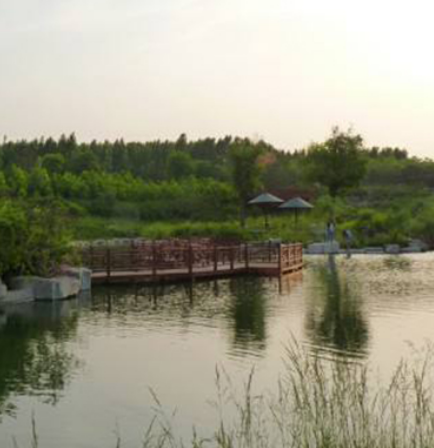 昌乐桂河湿地公园