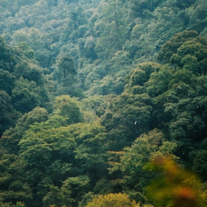 江西官山国家级自然保护区