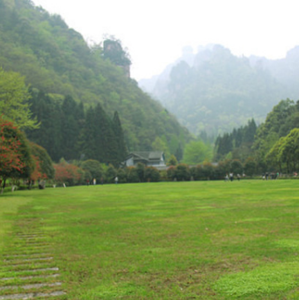 大草坪公園