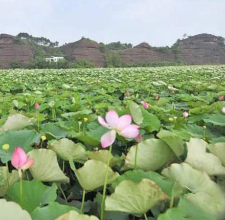 湘潭花石镇