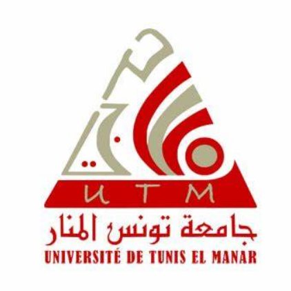突尼斯大学