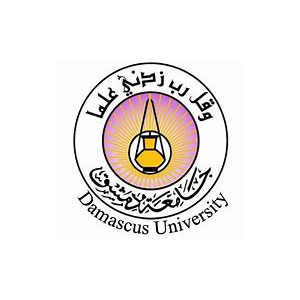 大马士革大学