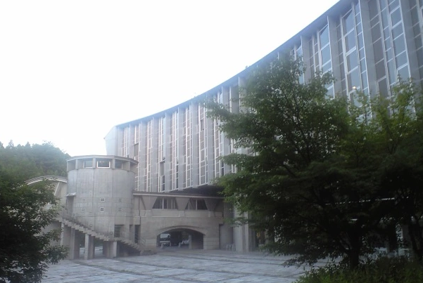 日本D级大学