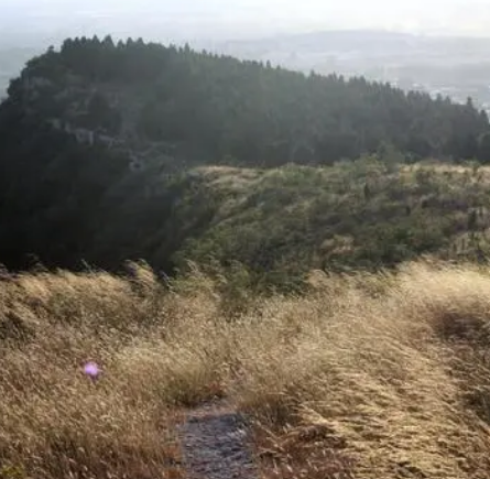 宁阳鹤山