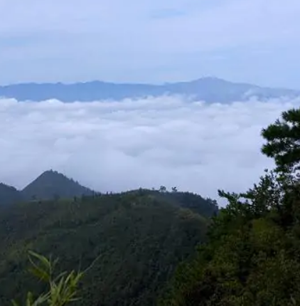 高霞山