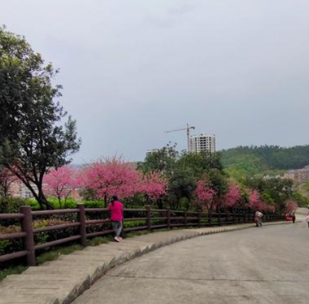 木子嶺公園