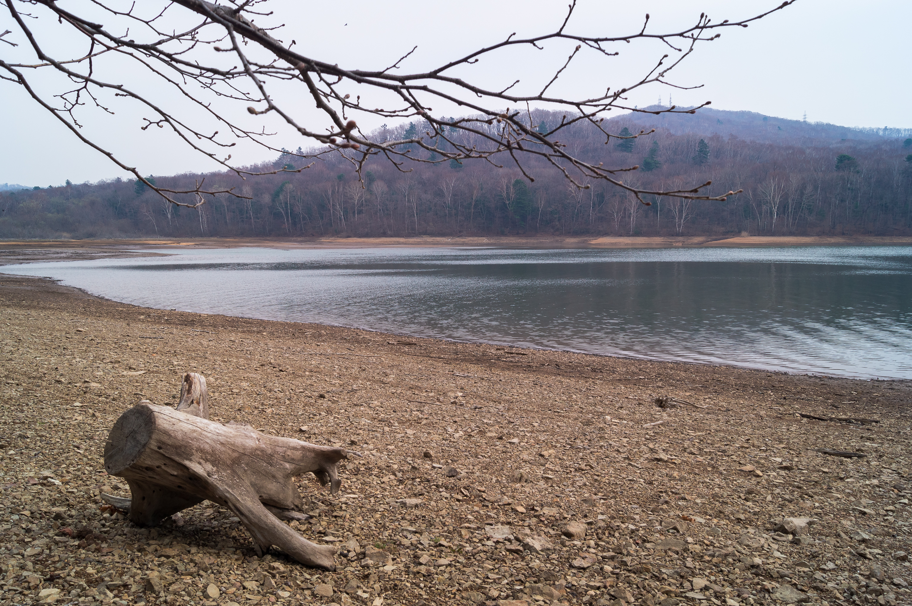 海邊釣魚(yú)公園