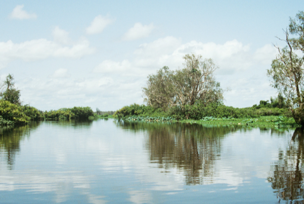 世界十大最大的湿地