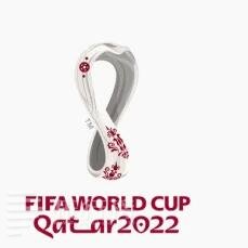 2022年世界杯亚军：法国