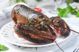 世界八大名虾：澳洲龙虾上榜，第一主要用来生食