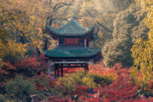 湖南各地第三產(chǎn)業(yè)增加值排名一覽表：前十均超千億，長沙霸榜(超700