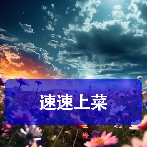 速速上菜