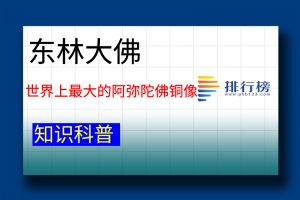 世界上最大的阿彌陀佛銅像：東林大佛(佛像身高48米)