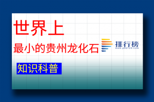 世界上最小的貴州龍化石：體長(zhǎng)僅23到25毫米(位于貴州興義)