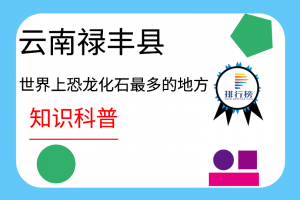 世界上恐龍化石最多的地方：云南祿豐縣(有24屬30多種恐龍)