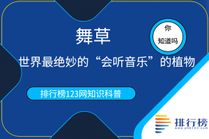 世界最絕妙的“會(huì)聽(tīng)音樂(lè)”的植物：舞草(豆科舞草屬植物)