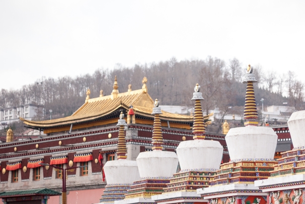 青海十大寺庙排名：第一为5A景区，大佛寺上榜