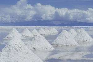 天然湖盐排名榜前十名：洛桑湖盐上榜，第七荷兰的