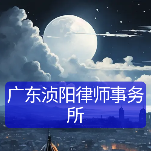 广东浈阳律师事务所