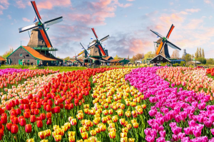 荷兰最美的十大小镇排行榜
