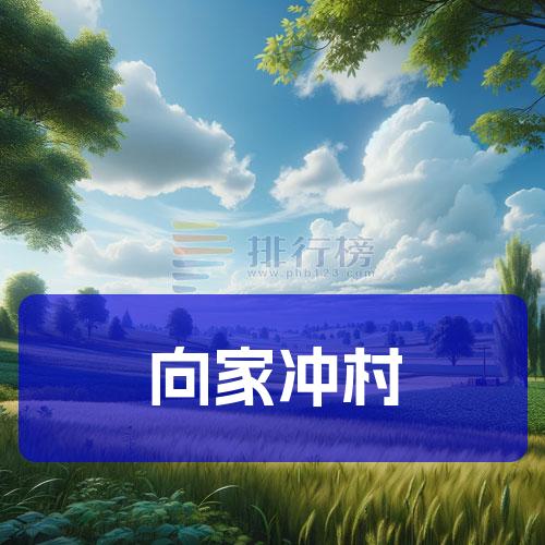 向家冲村