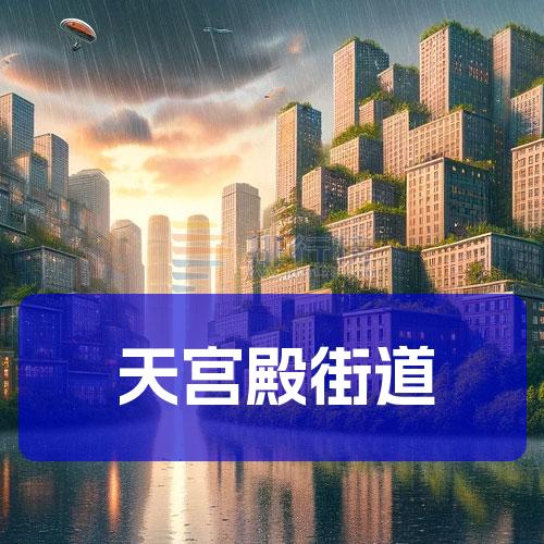 天宫殿街道