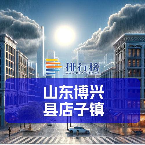 山东博兴县店子镇