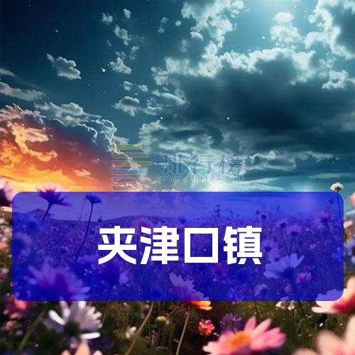 夹津口镇