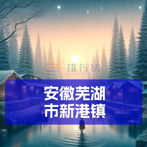 安徽芜湖市新港镇