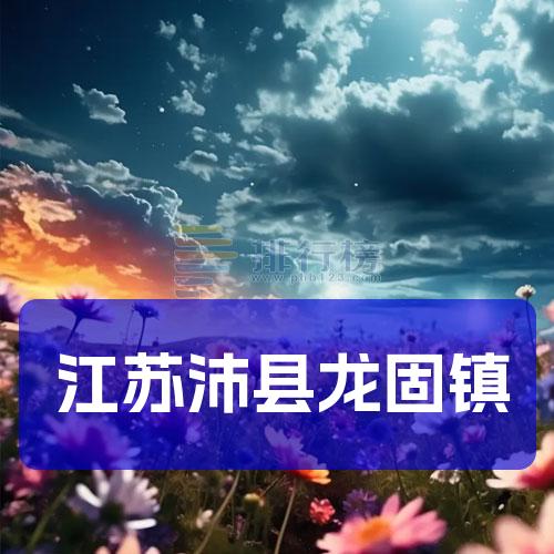 江苏沛县龙固镇