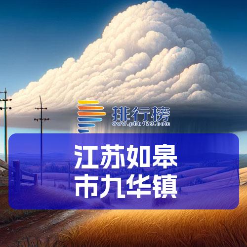 江苏如皋市九华镇