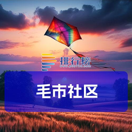 毛市社区