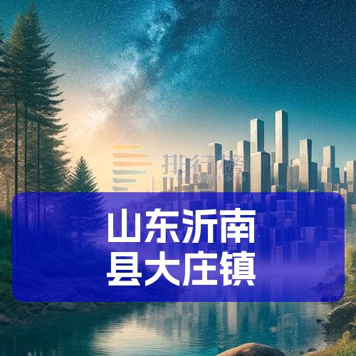 山东沂南县大庄镇